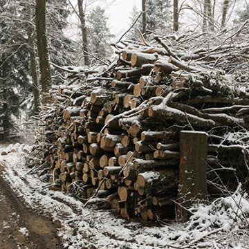 Achat/commerce de bois-énergie